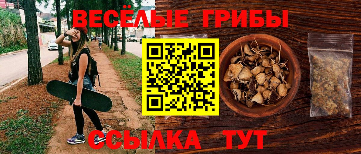 Псилоцибиновые грибы мицелий  Вход с VPN  Псилоцибиновые грибы Psilocybe  Острогожск 