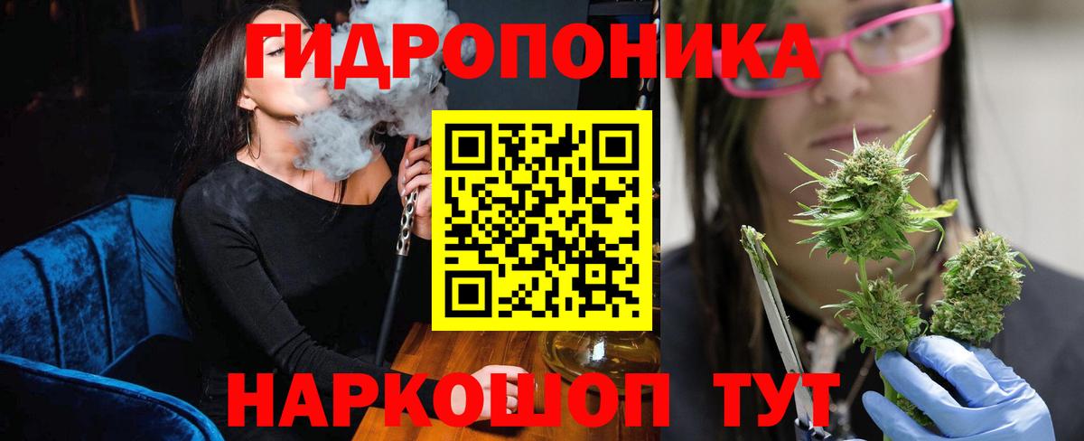 Бошки Шишки семена Острогожск